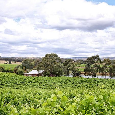 Stonewell Cottages And Vineyards Tanunda Dış mekan fotoğraf