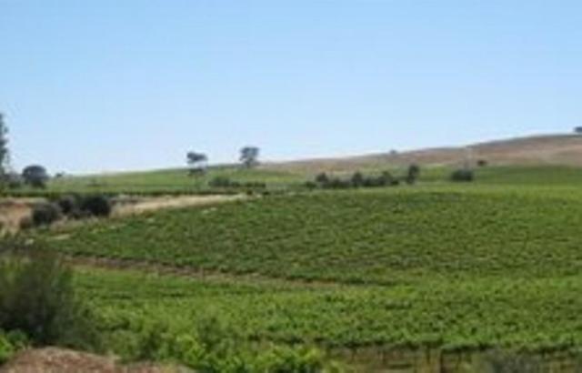 Stonewell Cottages And Vineyards Tanunda Dış mekan fotoğraf