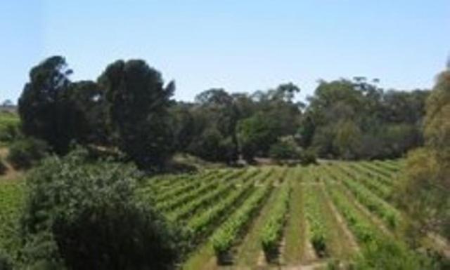 Stonewell Cottages And Vineyards Tanunda Dış mekan fotoğraf
