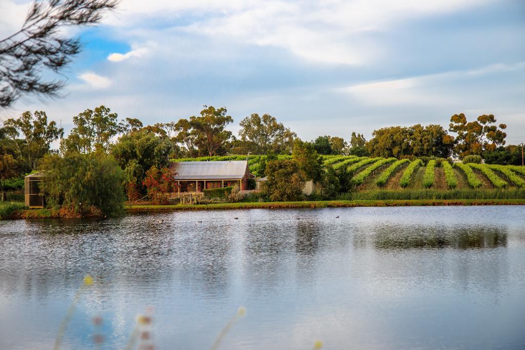 Stonewell Cottages And Vineyards Tanunda Dış mekan fotoğraf