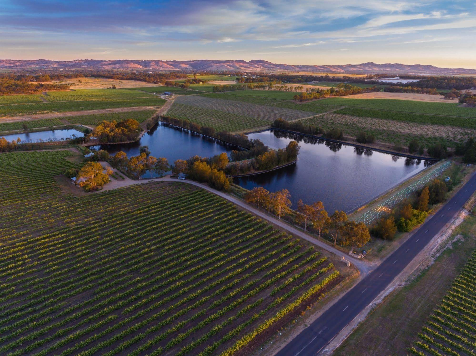 Stonewell Cottages And Vineyards Tanunda Dış mekan fotoğraf
