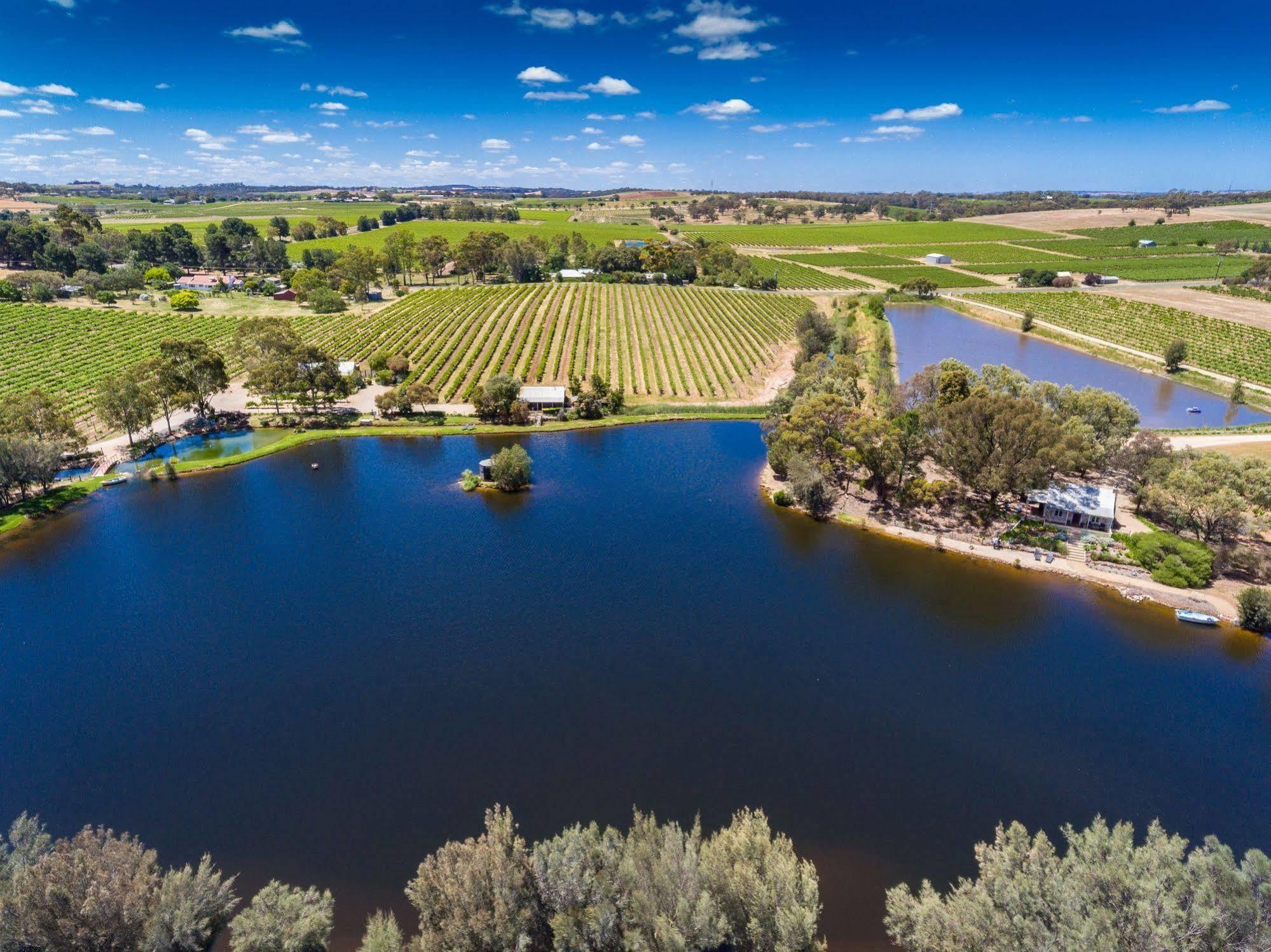 Stonewell Cottages And Vineyards Tanunda Dış mekan fotoğraf
