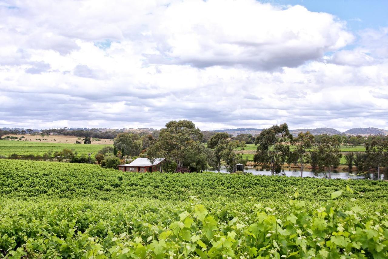 Stonewell Cottages And Vineyards Tanunda Dış mekan fotoğraf